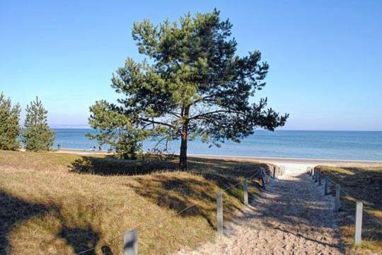 Strandvilla Aegir Mit Ostseeblick Binz Esterno foto